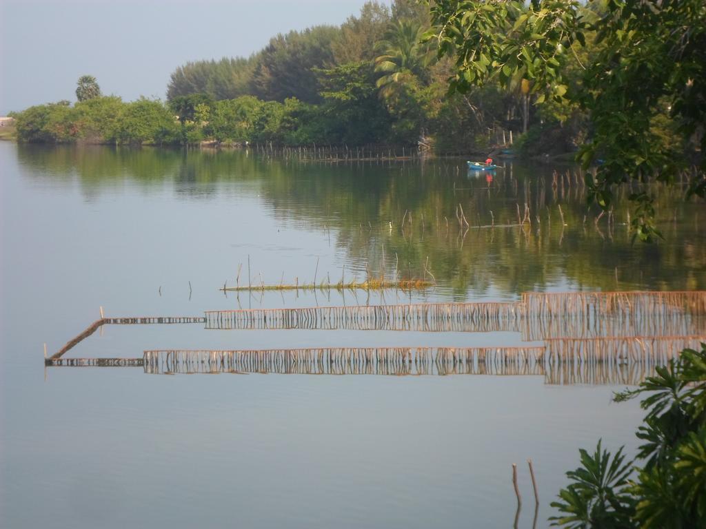 Lord Of The Forest Hotel Batticaloa Kamer foto